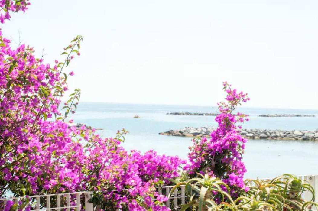 Iris Centralissimo Sanremo Dış mekan fotoğraf