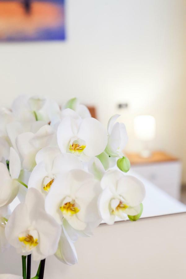 Iris Centralissimo Sanremo Dış mekan fotoğraf